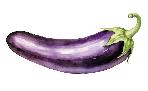 Aquarelle avec des aubergines