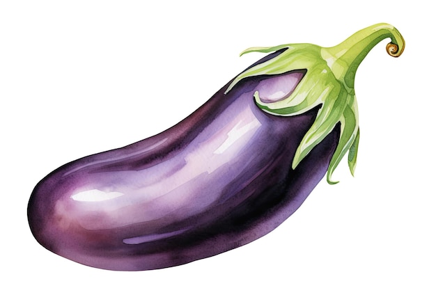 Photo aquarelle avec des aubergines