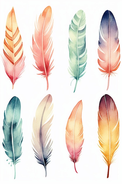 aquarelle bel ensemble de plumes