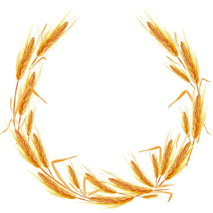 Photo aquarelle de cadre de couronne d'épis de blé