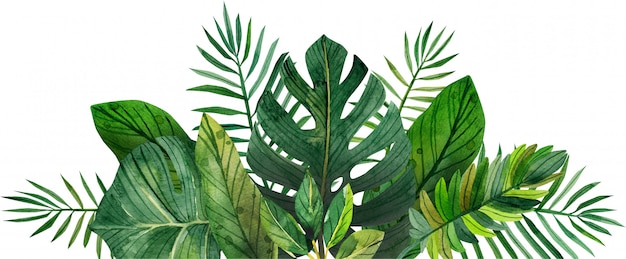 Photo aquarelle cadre de feuilles tropicales