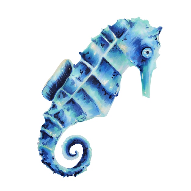 Aquarelle cheval de mer peinture à la main clipart objets de la vie sous-marine sur fond blanc isolé