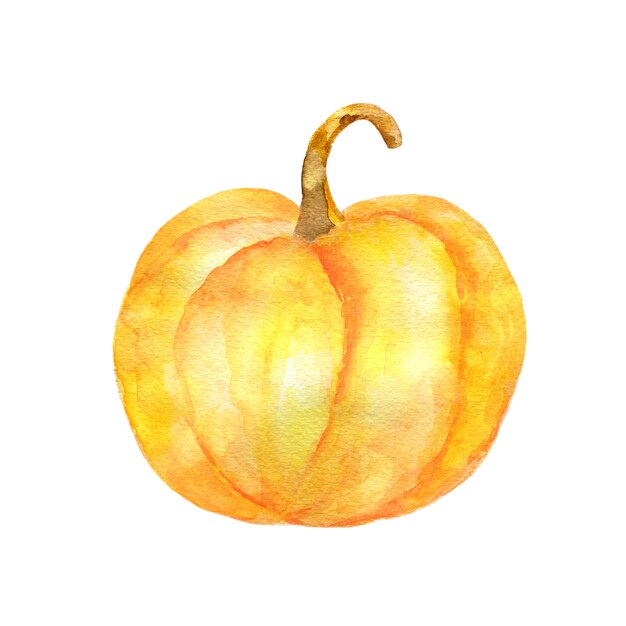 Aquarelle de citrouilles