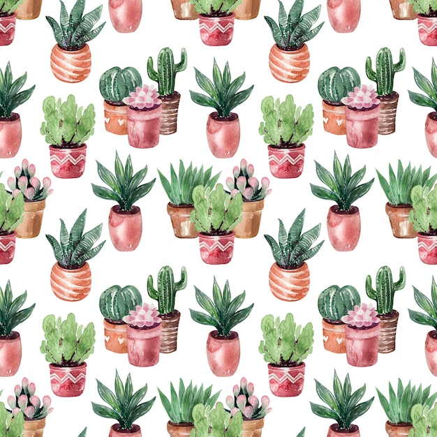 Aquarelle Dessin Collection De Cactus Dans Le Modèle Sans Couture De Pots