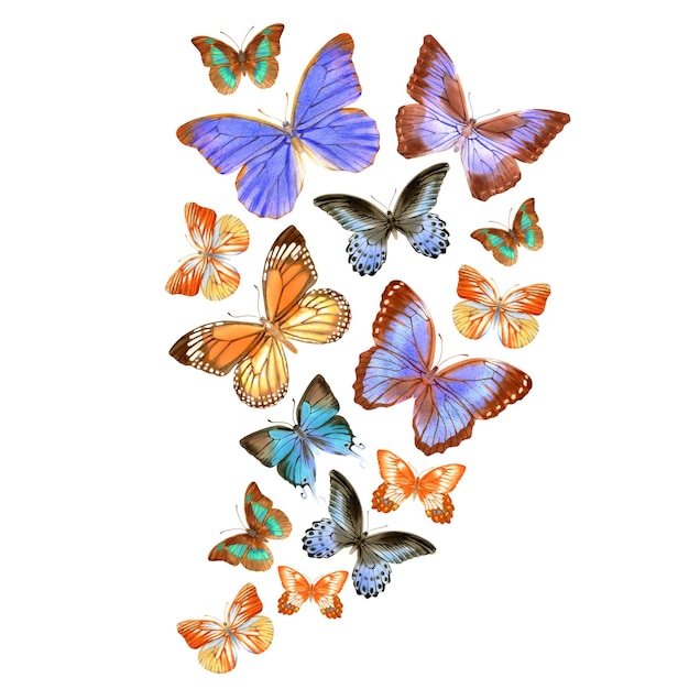 Aquarelle dessinée à la main de papillons réalistes colorés et lumineux