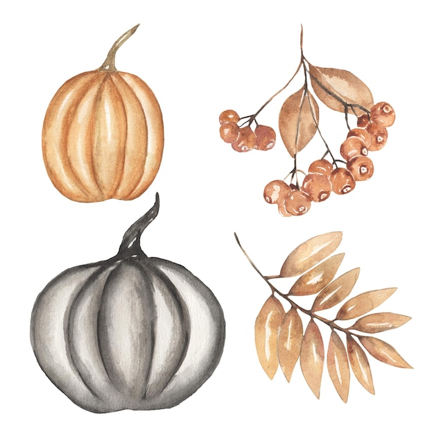 Aquarelle dessinés à la main Halloween citrouille noire et fleurs clipart ensemble branche de feuilles beige