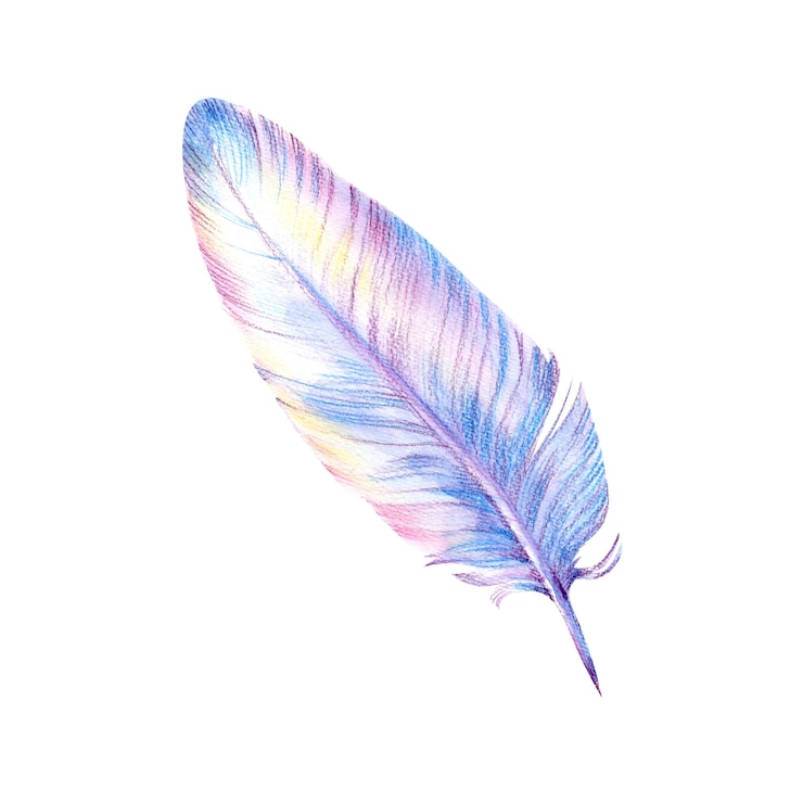 Photo aquarelle détaillée plume peinte à la main elément élégant isolé