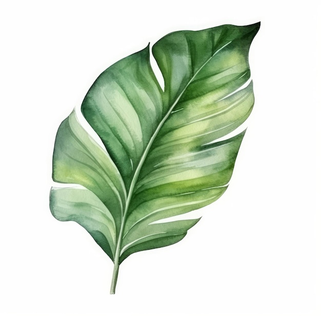 Aquarelle de feuille de palmier tropical Illustration AI GenerativexA