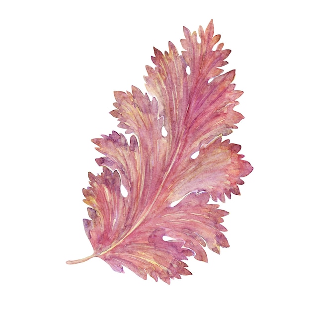 Aquarelle avec feuilles d'acanthe stylisées