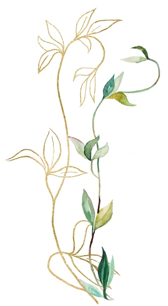 Aquarelle feuilles botaniques vertes et dorées illustration isolée élément de papeterie de mariage