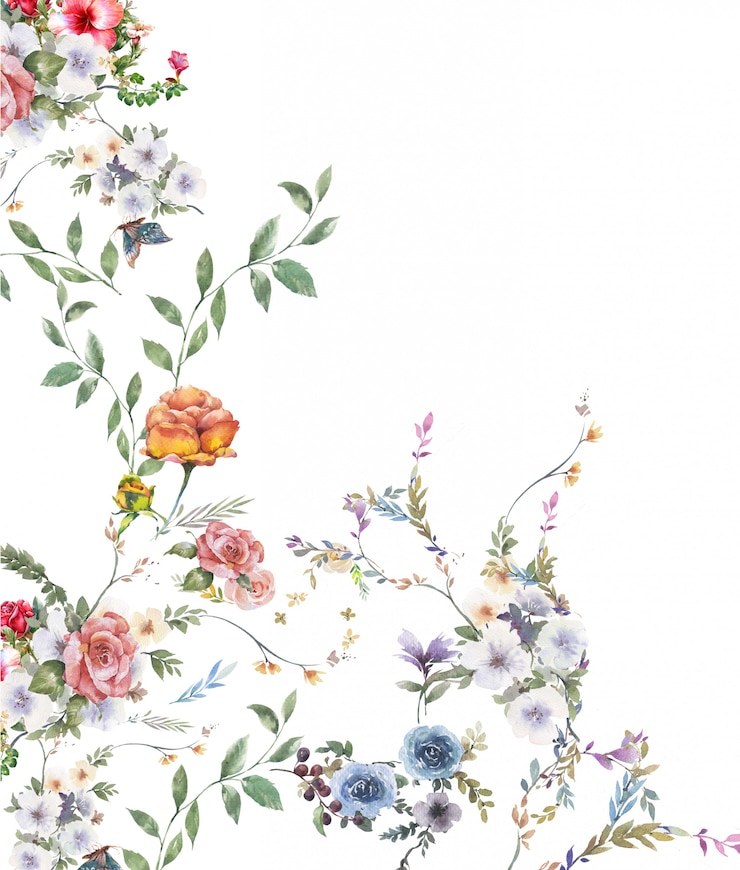 Photo aquarelle de feuilles et de fleurs, sur blanc