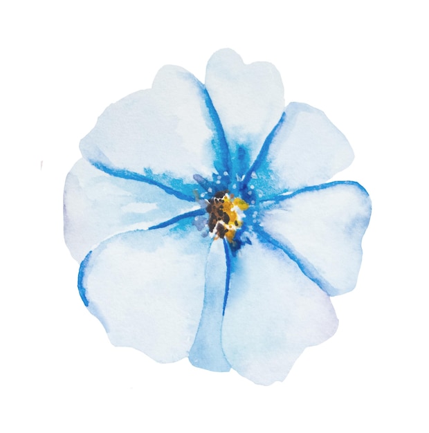 Aquarelle fleur bleu clair illustration isolée élément floral de mariage et de salutation