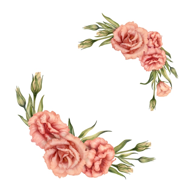 Aquarelle fleurs d'eustome roses dans une couleur peach fuzz à la mode pour le jour de la Saint-Valentin anniversaire de mariage