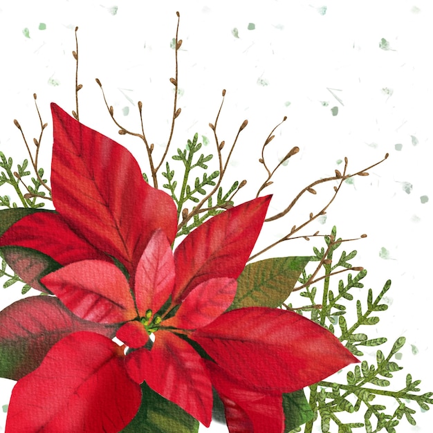 Aquarelle Floral Poinsettia Hiver Noël Fleur