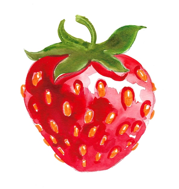 Aquarelle de fraise dessinée à la main