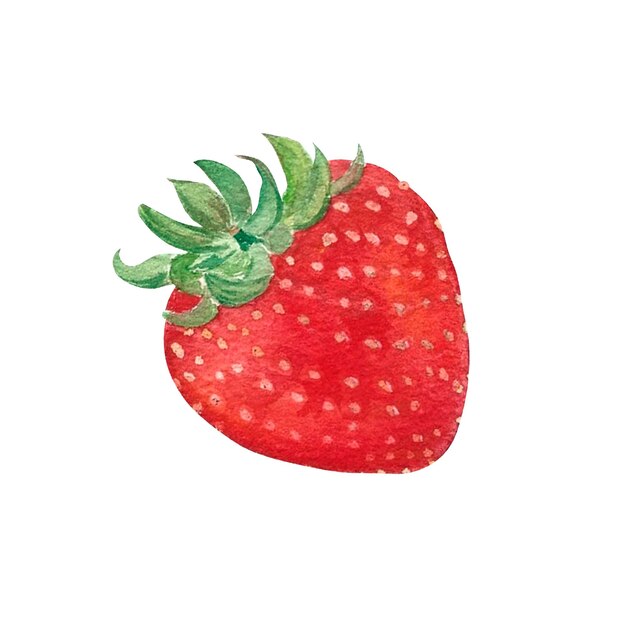 aquarelle de fraise sur fond blanc isolé, dessinés à la main.