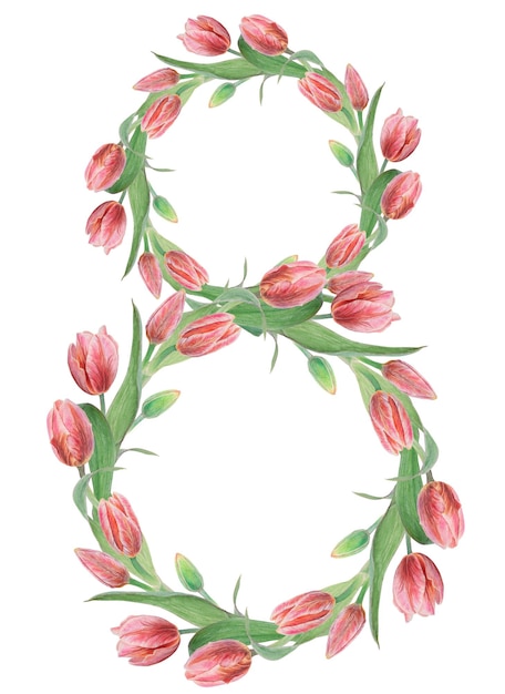 Aquarelle illustration botanique réaliste de tulipe rose isolée sur fond blanc