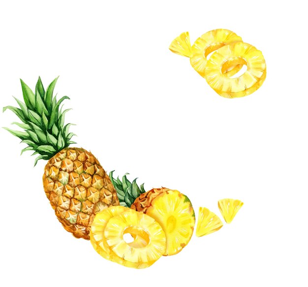 aquarelle illustration dessinée à la main de l'ananas avec moitié et tranches croquis de fruits tropicaux