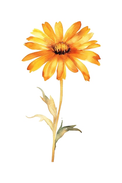 Une aquarelle d'une image ai générative de fleur jaune