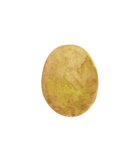 Aquarelle de kiwi