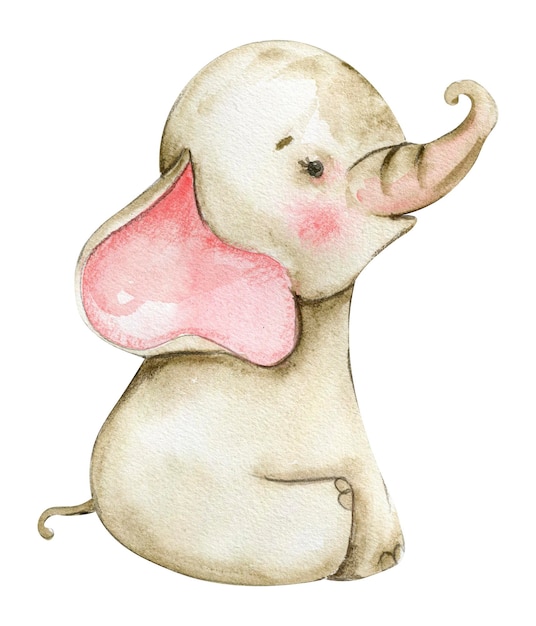 Photo aquarelle à la main dessinée mignon petit bébé éléphant