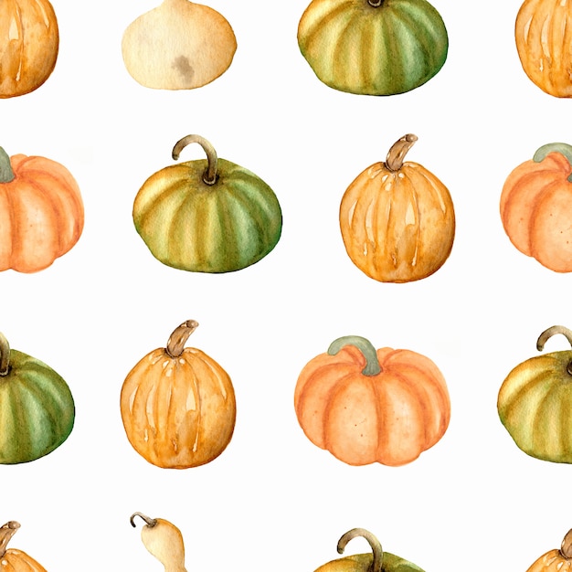 Aquarelle Modèle sans couture avec des citrouilles aux couleurs verts, jaunes et orange. Jour de Thanksgiving. L&#39;automne .