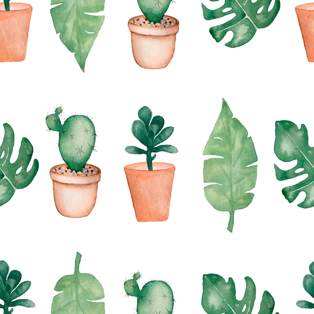 Aquarelle de palmier tropical, feuilles de monstera avec cactus en pots et plantes succulentes