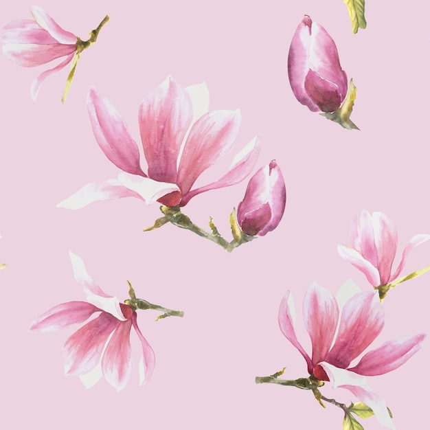 Aquarelle Seamless Pattern fond rose Illustration peinte à la main avec Magnolia rose
