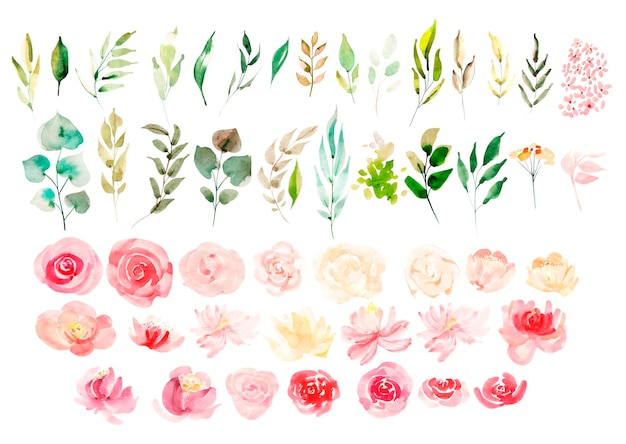 Aquarelle sertie de fleurs et de feuilles