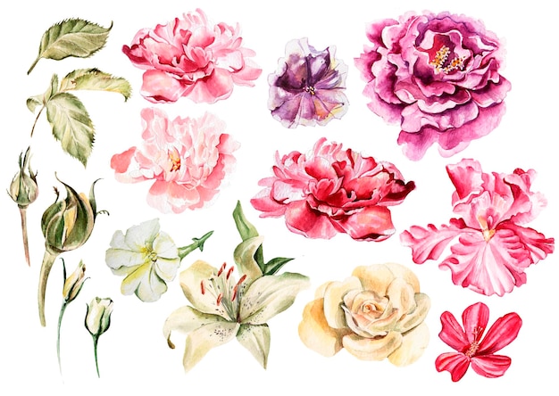 Aquarelle sertie de fleurs