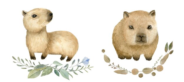 Des aquarelles dessinées à la main, des bébés capybares d'animaux mignons.