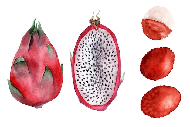 Aquarelles Objets Fruits exotiques