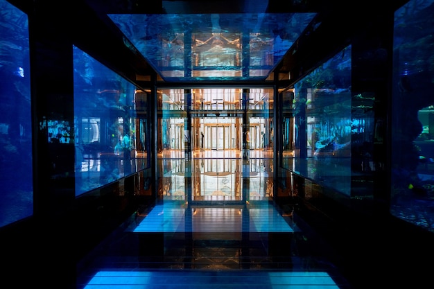 Aquarium sous-marin de l'hôtel