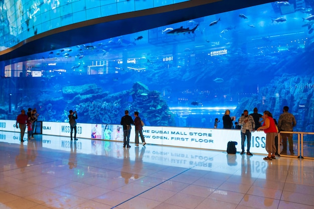 Aquarium et zoo sous-marin de Dubaï