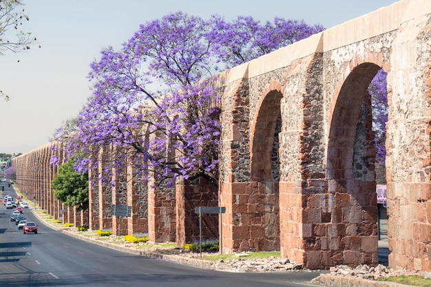 Aqueduc de Queretaro Mexique avec jacaranda et fleurs violettes