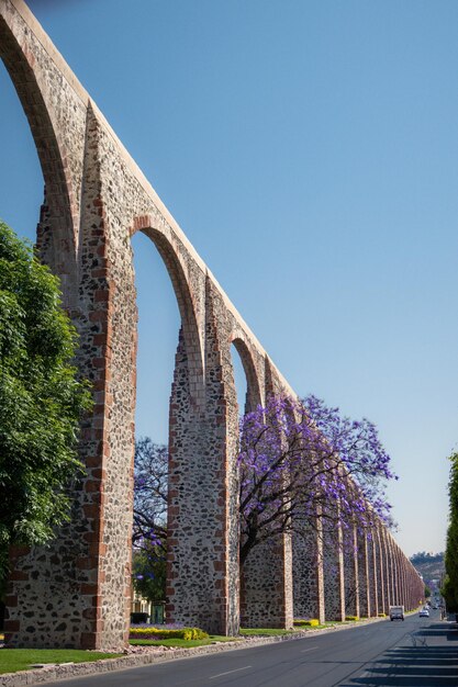 Aqueduc de Queretaro Mexique avec jacaranda et fleurs violettes