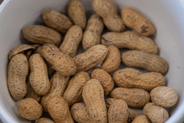 Arachides cacahuètes en coque prêtes à manger