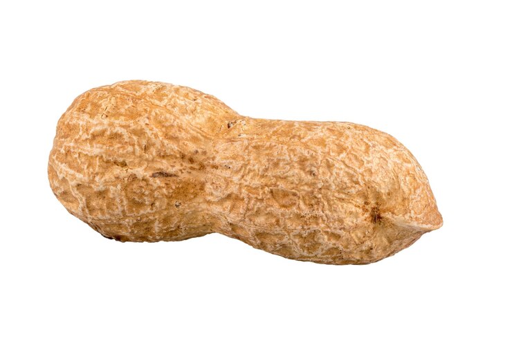 Photo des arachides sur fond blanc