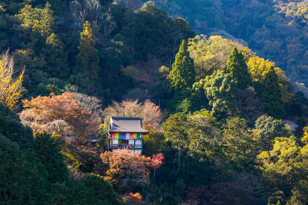 Arashiyama