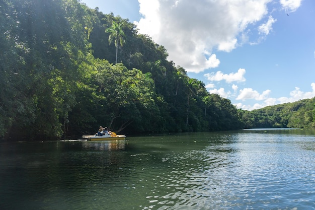 Arboleda Matanzas, promenade en bateau sur la rivière yumuri, images de partout