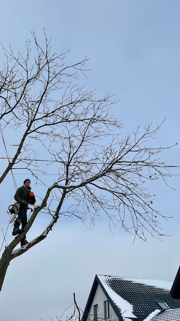 Un arboriculteur professionnel coupe une branche d'arbre avec une tronçonneuse en hiver un homme assuré avec un