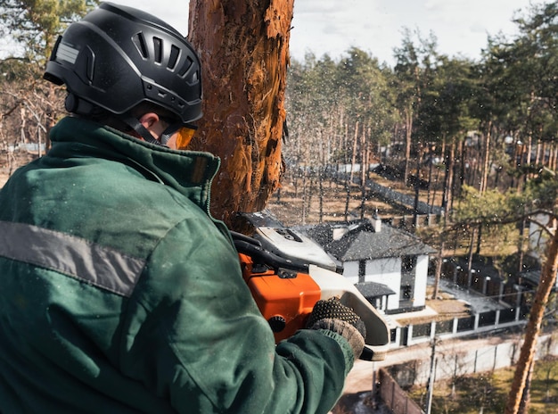 L'arboriste coupe le tronc d'un arbre d'urgence avec une tronçonneuse à grande hauteur