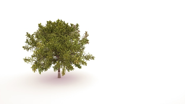 Arbre au feuillage vert, un élément d'aménagement paysager. Objet isolé de conception ghaphique sur fond blanc, illustration 3d.