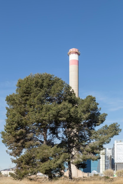 Arbre au premier plan se tient derrière une grande cheminée Sagunto Valence Espagne