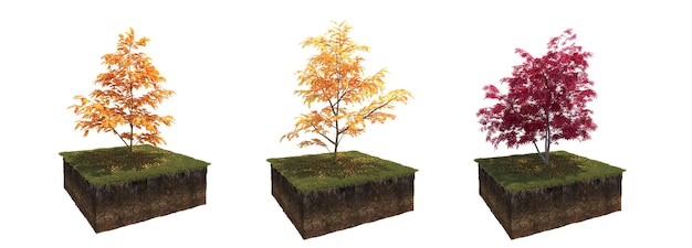 arbre d'automne isolé sur fond blanc, illustration 3D, rendu cg