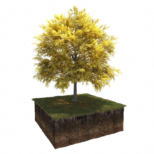 Arbre d'automne et terre coupée en dessous. Élément de jardin isolé, illustration 3D, rendu cg