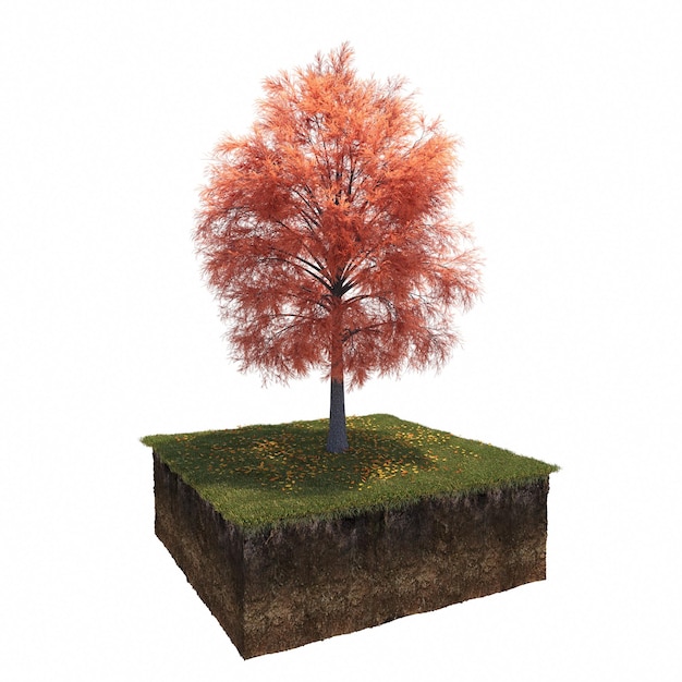 Arbre d'automne et terre coupée en dessous. Élément de jardin isolé, illustration 3D, rendu cg