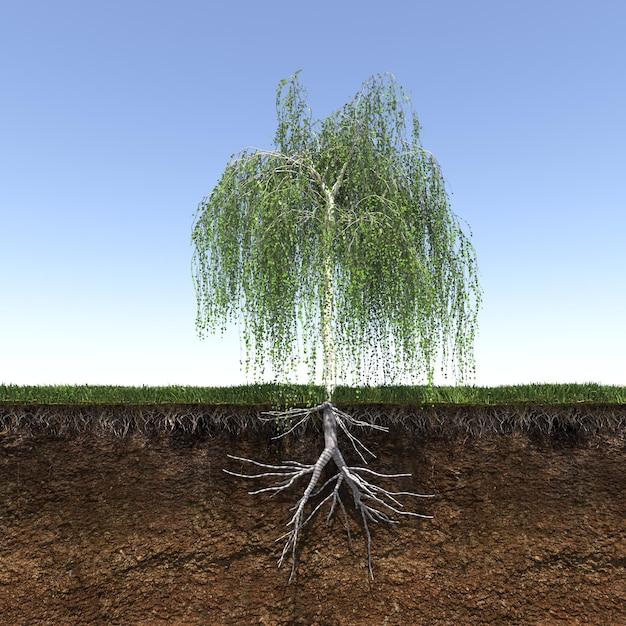 arbre aux racines fortes et profondes, rendu 3d
