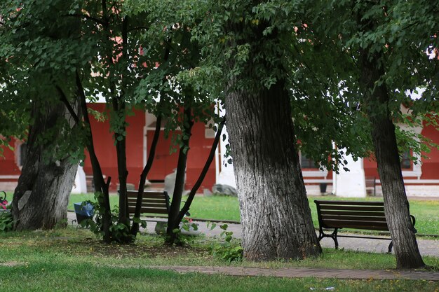 arbre de banc de parc