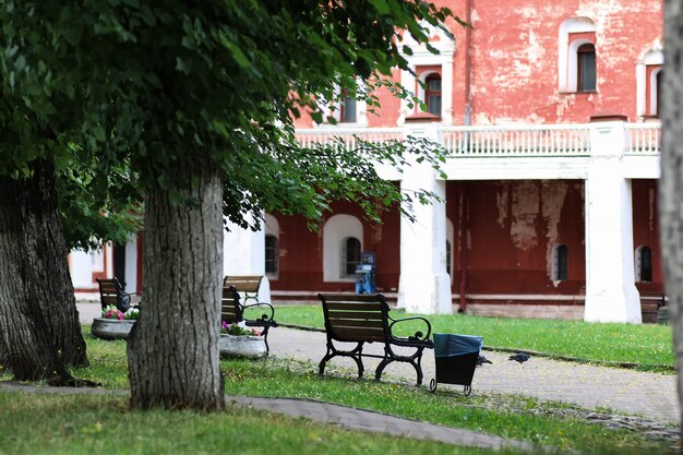 arbre de banc de parc